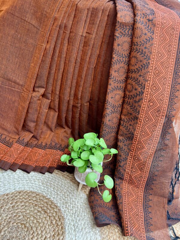 IMG_4991 রৌদ্রীকা