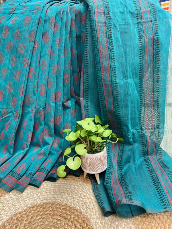 IMG_5008 ময়ূরাক্ষী